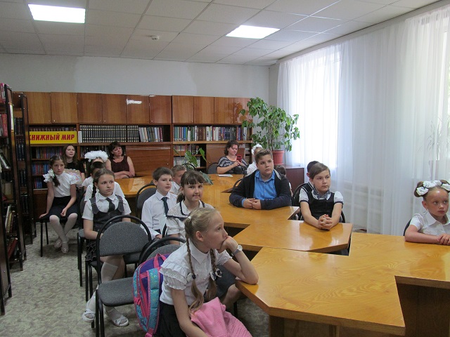IMG 4230