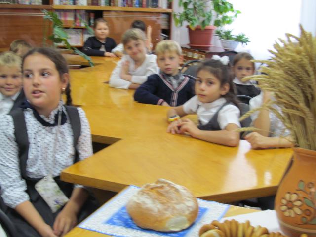 IMG 4327