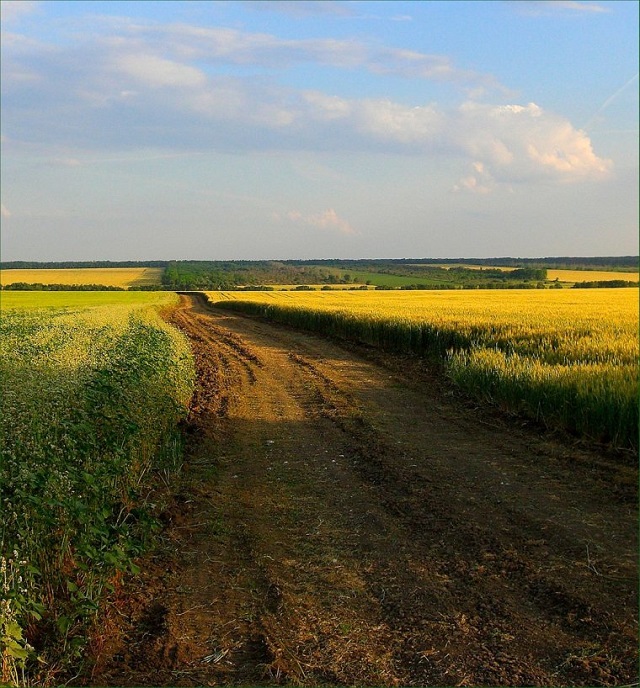 fotog20221010 3